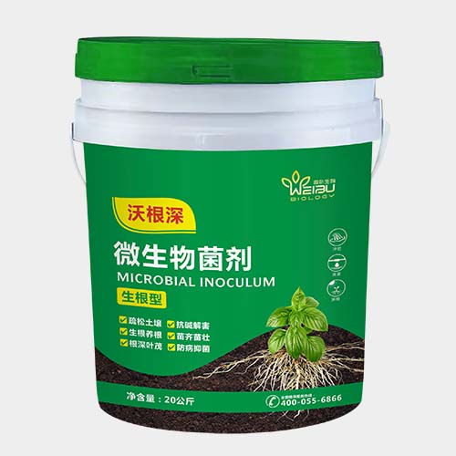 沃根深